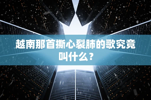 越南那首撕心裂肺的歌究竟叫什么？