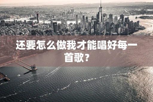 还要怎么做我才能唱好每一首歌？