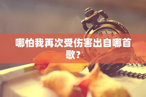 哪怕我再次受伤害出自哪首歌？