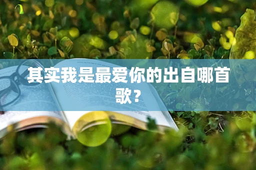 其实我是最爱你的出自哪首歌？