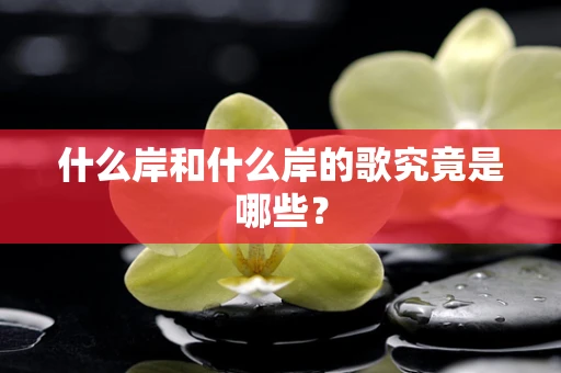 什么岸和什么岸的歌究竟是哪些？