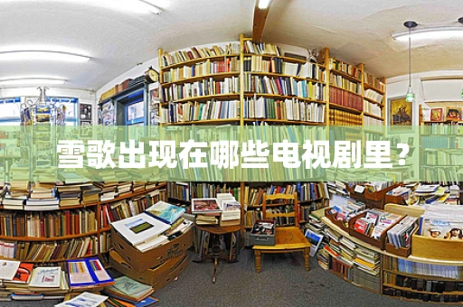 雪歌出现在哪些电视剧里？