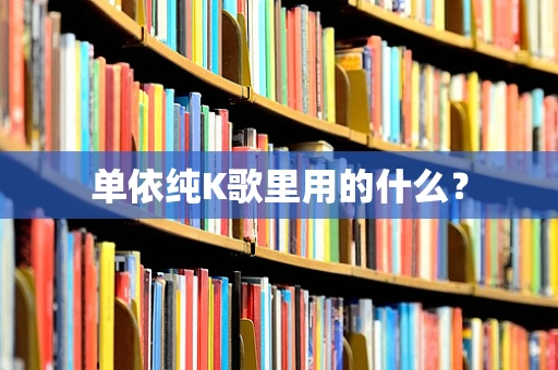 单依纯K歌里用的什么？