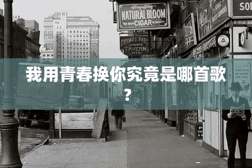 我用青春换你究竟是哪首歌？