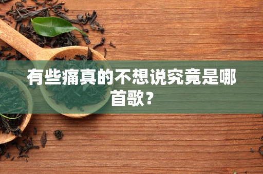 有些痛真的不想说究竟是哪首歌？