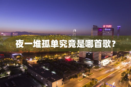 夜一堆孤单究竟是哪首歌？