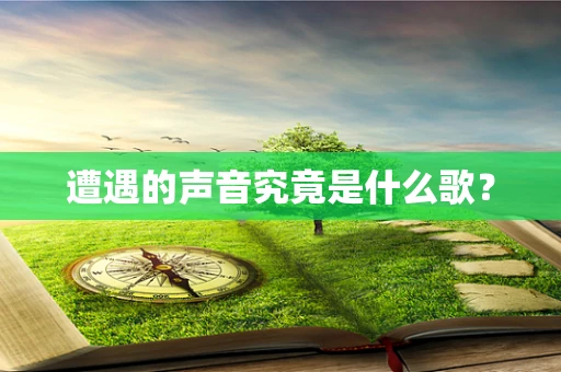 遭遇的声音究竟是什么歌？