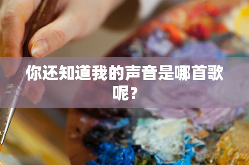 你还知道我的声音是哪首歌呢？