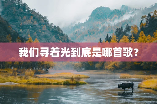 我们寻着光到底是哪首歌？