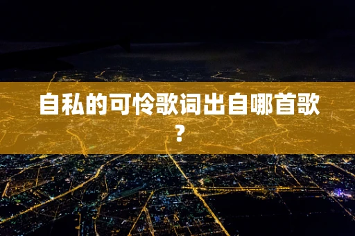 自私的可怜歌词出自哪首歌？