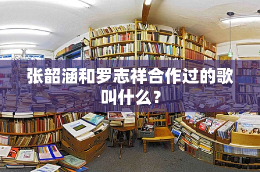 张韶涵和罗志祥合作过的歌叫什么？