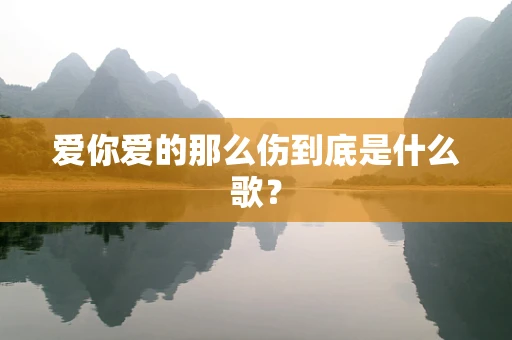 爱你爱的那么伤到底是什么歌？