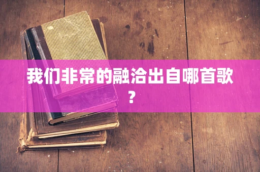 我们非常的融洽出自哪首歌？