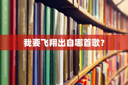 我要飞翔出自哪首歌？