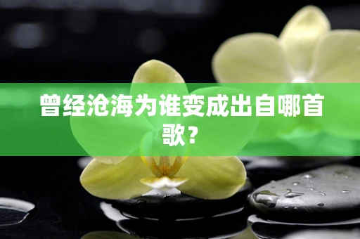 曾经沧海为谁变成出自哪首歌？