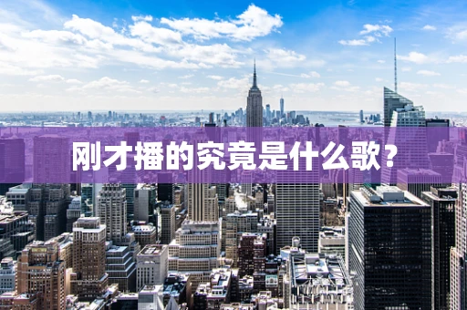 刚才播的究竟是什么歌？