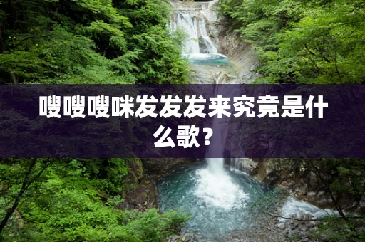 嗖嗖嗖咪发发发来究竟是什么歌？