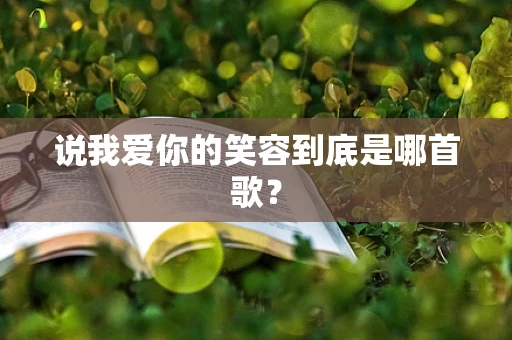 说我爱你的笑容到底是哪首歌？