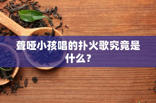 聋哑小孩唱的扑火歌究竟是什么？