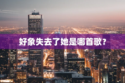 好象失去了她是哪首歌？