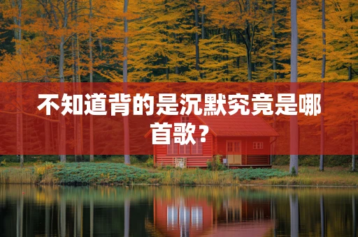 不知道背的是沉默究竟是哪首歌？