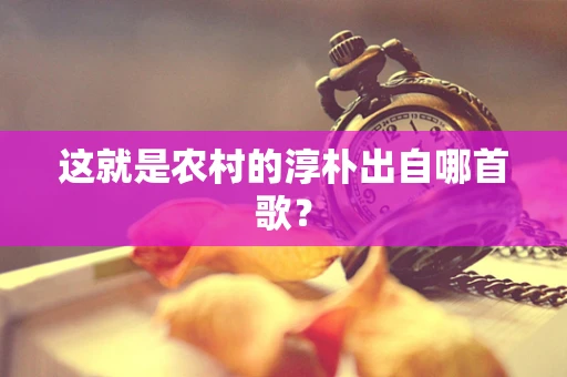 这就是农村的淳朴出自哪首歌？