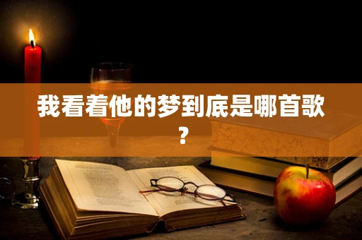 我看着他的梦到底是哪首歌？