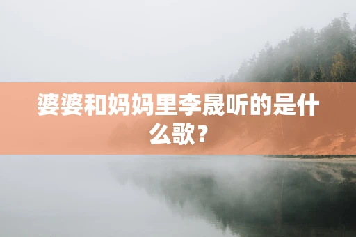 婆婆和妈妈里李晟听的是什么歌？