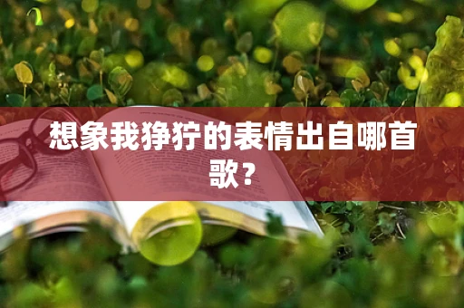 想象我狰狞的表情出自哪首歌？