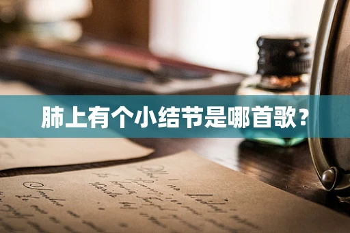 肺上有个小结节是哪首歌？