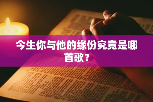 今生你与他的缘份究竟是哪首歌？