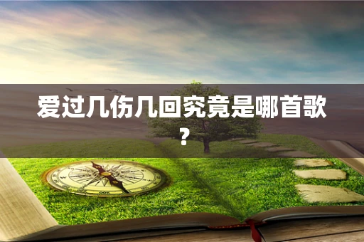 爱过几伤几回究竟是哪首歌？