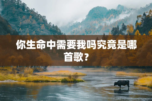 你生命中需要我吗究竟是哪首歌？