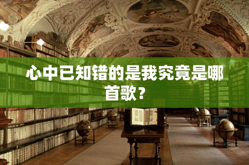 心中已知错的是我究竟是哪首歌？