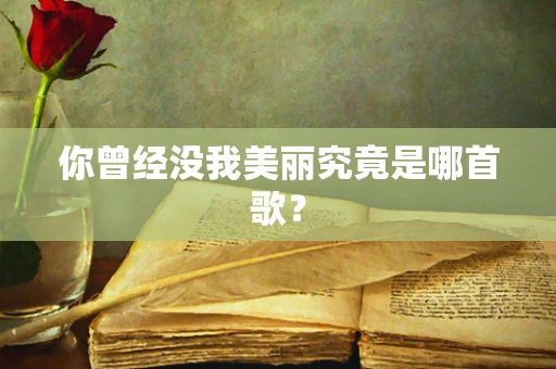 你曾经没我美丽究竟是哪首歌？