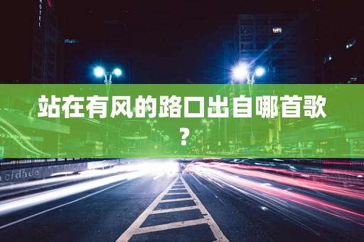 站在有风的路口出自哪首歌？