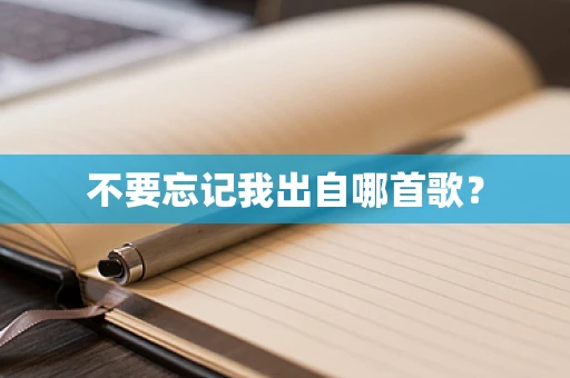 不要忘记我出自哪首歌？