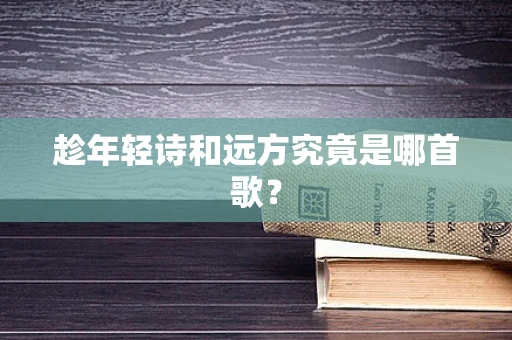 趁年轻诗和远方究竟是哪首歌？