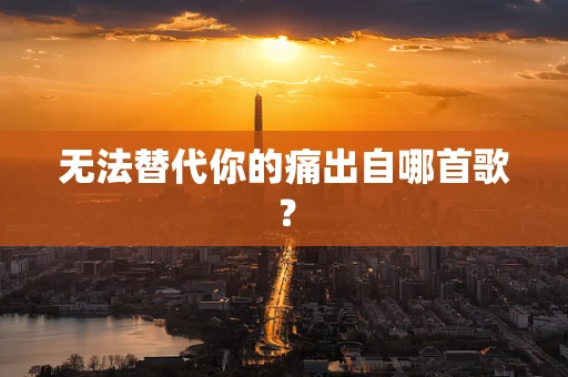 无法替代你的痛出自哪首歌？