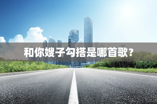 和你嫂子勾搭是哪首歌？