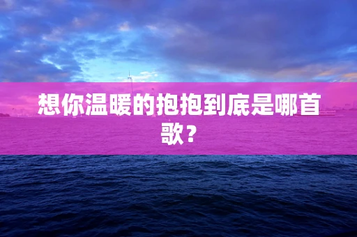 想你温暖的抱抱到底是哪首歌？