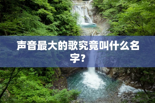 声音最大的歌究竟叫什么名字？