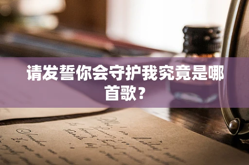 请发誓你会守护我究竟是哪首歌？