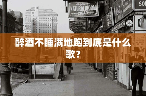 醉酒不睡满地跑到底是什么歌？