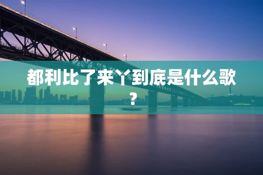 都利比了来丫到底是什么歌？