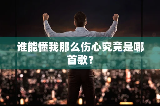 谁能懂我那么伤心究竟是哪首歌？