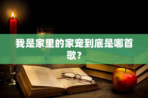 我是家里的家宠到底是哪首歌？