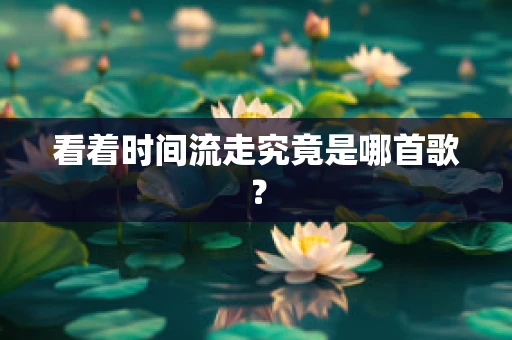 看着时间流走究竟是哪首歌？