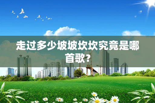 走过多少坡坡坎坎究竟是哪首歌？
