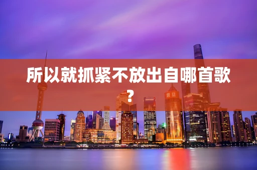 所以就抓紧不放出自哪首歌？